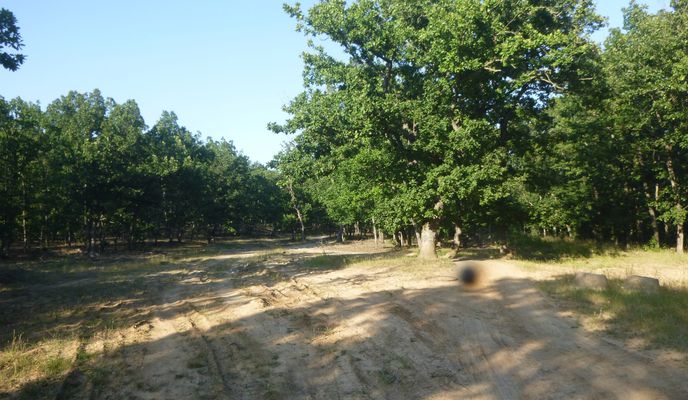 Photo 2 of the Bikemap route "Шкорпиловци - Камчийски пясъци - Ново Оряхово"