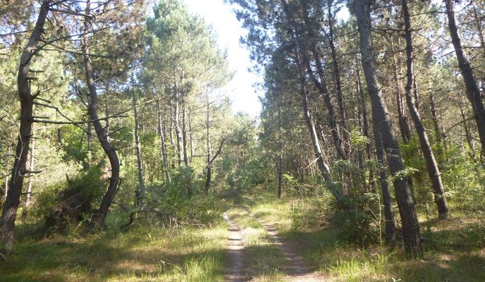 Photo 1 of the Bikemap route "Шкорпиловци - Камчийски пясъци - Ново Оряхово"