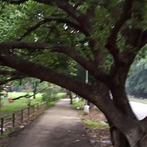 Chandigarh to Chandigarh