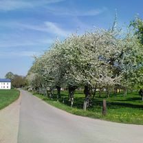 NR397: Weeze - Uedem - Sonsbeck - Kevelaer - Weeze