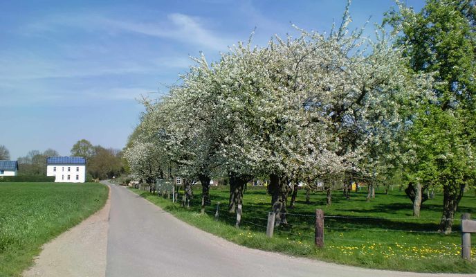 Foto 1 de la ruta de Bikemap "NR397: Weeze - Uedem - Sonsbeck - Kevelaer - Weeze"