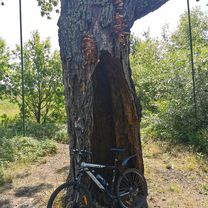 От г. Зеленогорск (Вокзал), Санкт-Петербург до Северный проспект 20 корпус 2, Санкт-Петербург