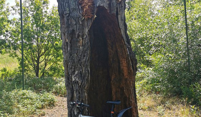 Foto 1 der Bikemap-Route "От г. Зеленогорск (Вокзал), Санкт-Петербург до Северный проспект 20 корпус 2, Санкт-Петербург" Foto 1 der Bikemap-Route "От г. Зеленогорск (Вокзал), Санкт-Петербург до Северный проспект 20 корпус 2, Санкт-Петербург"