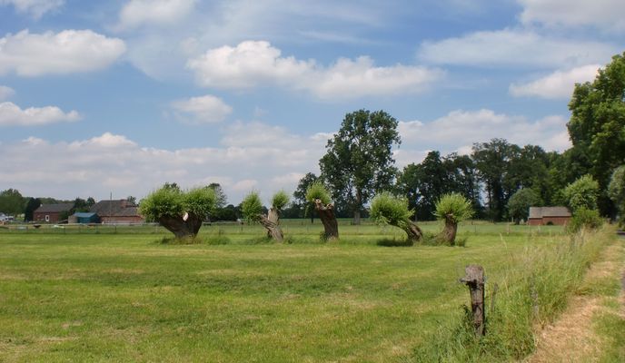 Foto 1 der Bikemap-Route "NR769: Weeze - Uedem - Kervenheim - Winnekendonk - Kevelaer - Weeze"