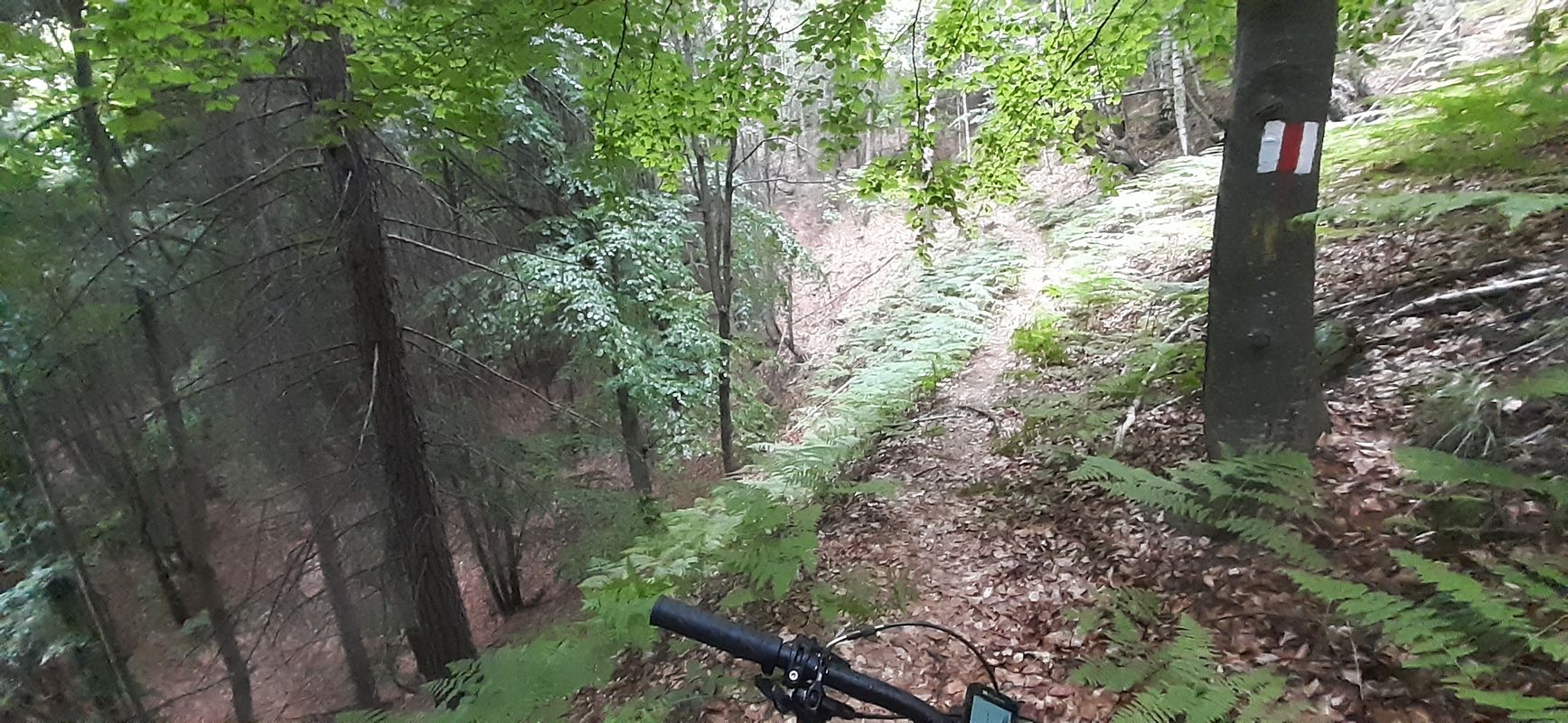 Olanesti-Schitul Pahomie-Cabana Cheia-Cheile Folea-Olanesti