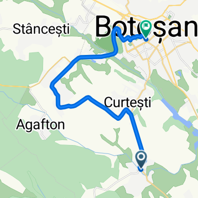 DJ207N 18, Băiceni to Bulevardul Mihai Eminescu 40, Botoșani