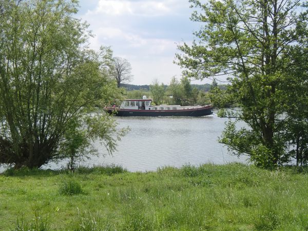 Foto 2: None