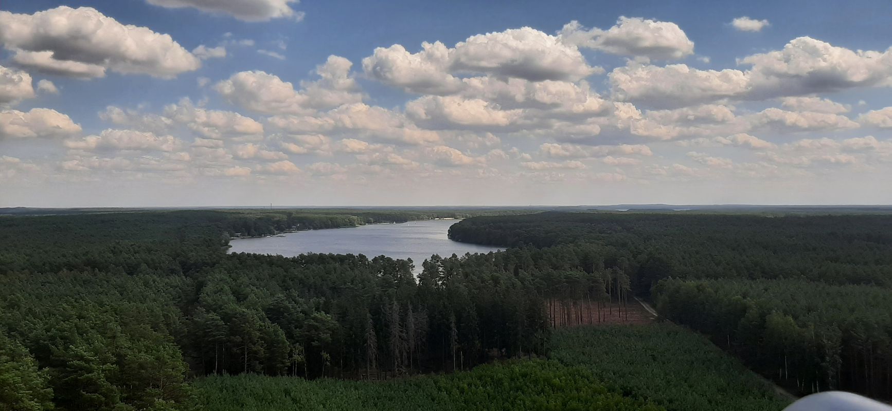 Nowa Sól do Osiedle Wierzbowe 67, Jodłów