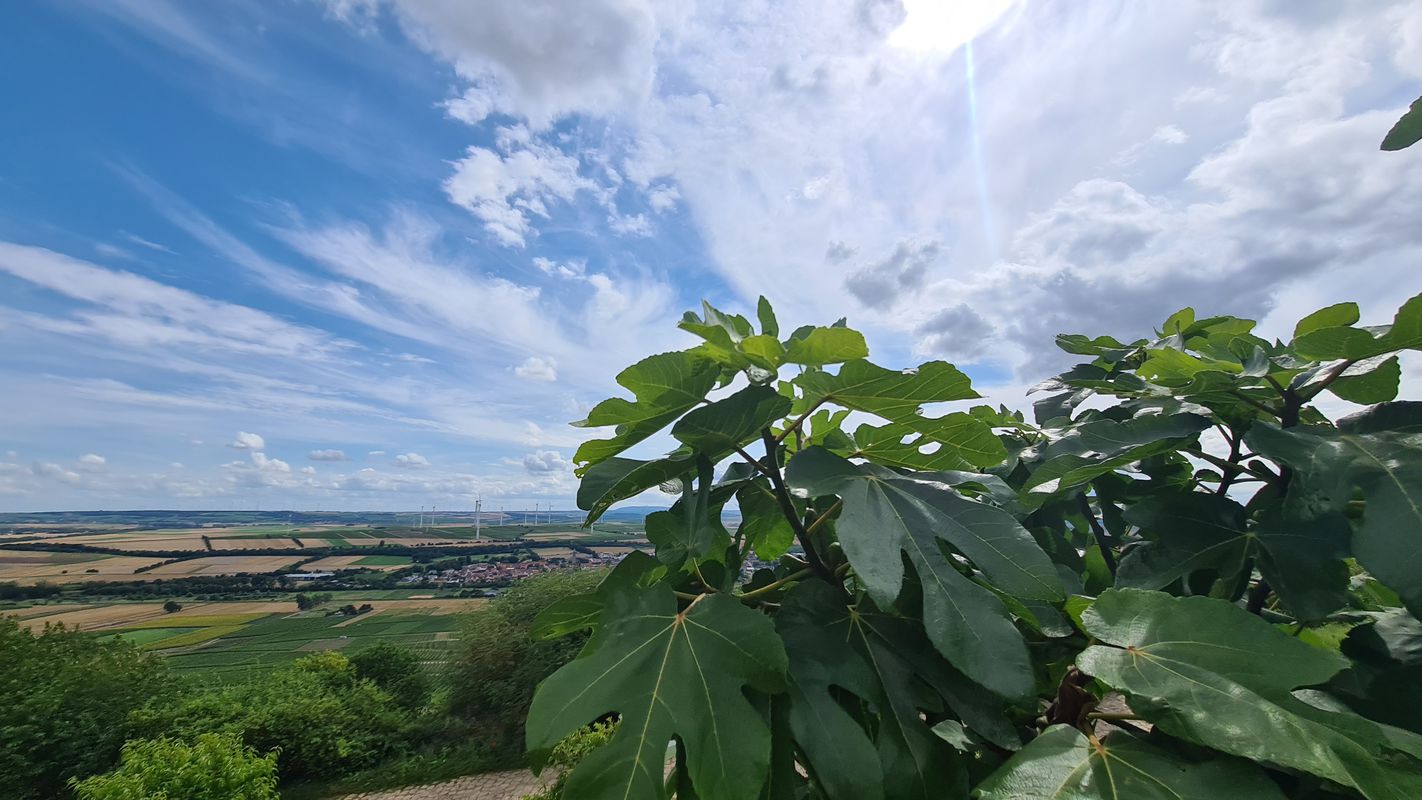 Alzey, Gau-Bickelheim