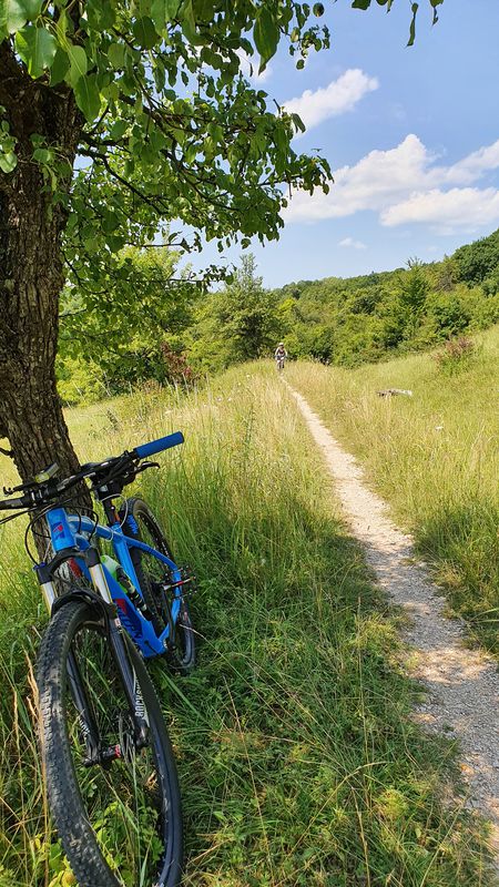 Meșendorf, Viscri, Bunesti, Crit, Mesendorf