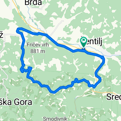 Mislinja-Zavrse-Mislinja 01.08.2021