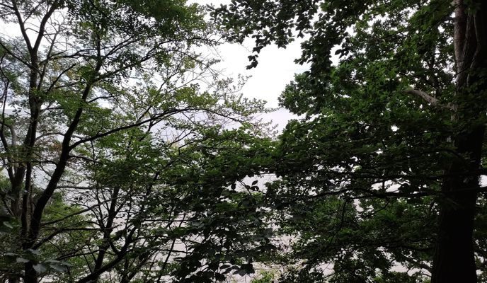 Foto 1 der Bikemap-Route "Seepark 24, Heringsdorf nach Seepark 23, Heringsdorf"