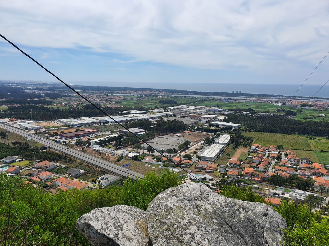 Palmeira de Faro - Senhor da Guia