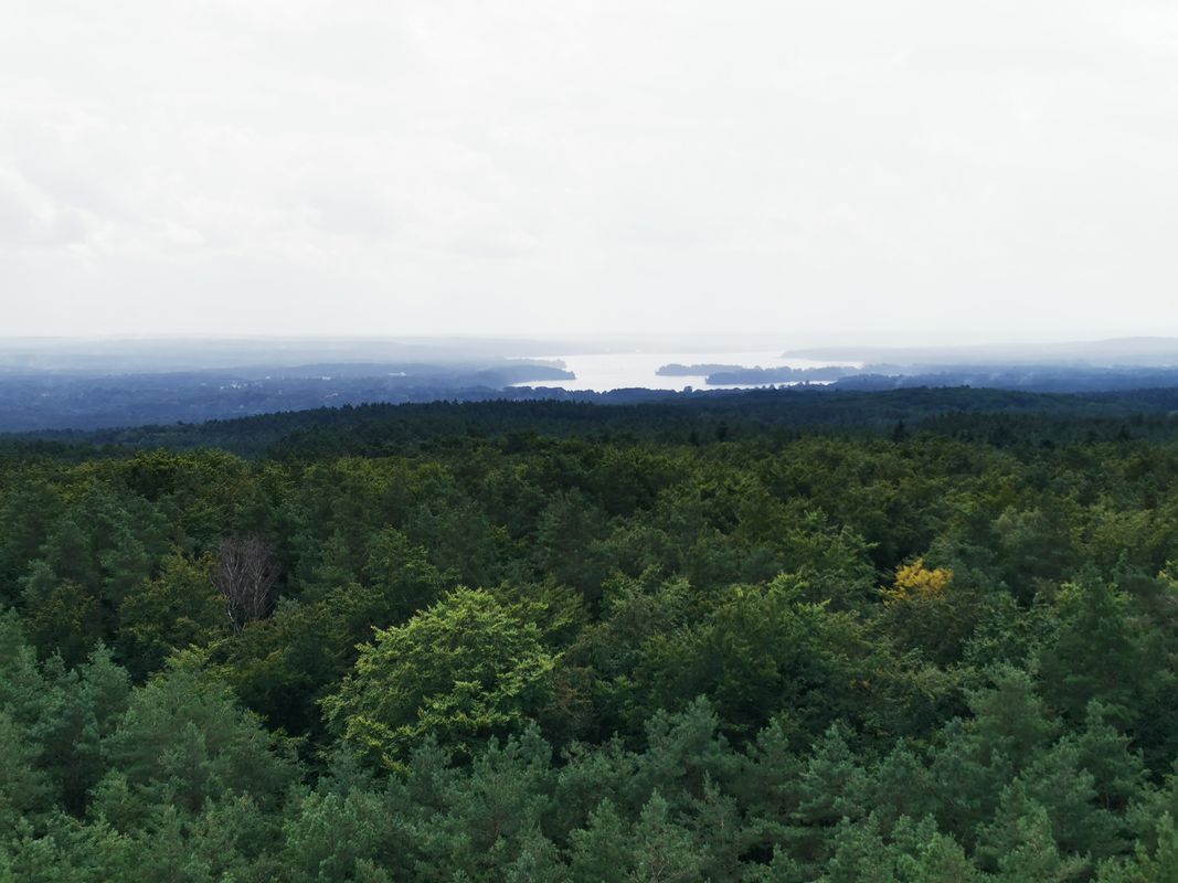 Tour zur Rodelbahn und in die Rauener Berge