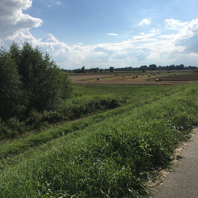 Żelichów 2, Żelichów do Żelichów 2, Żelichów
