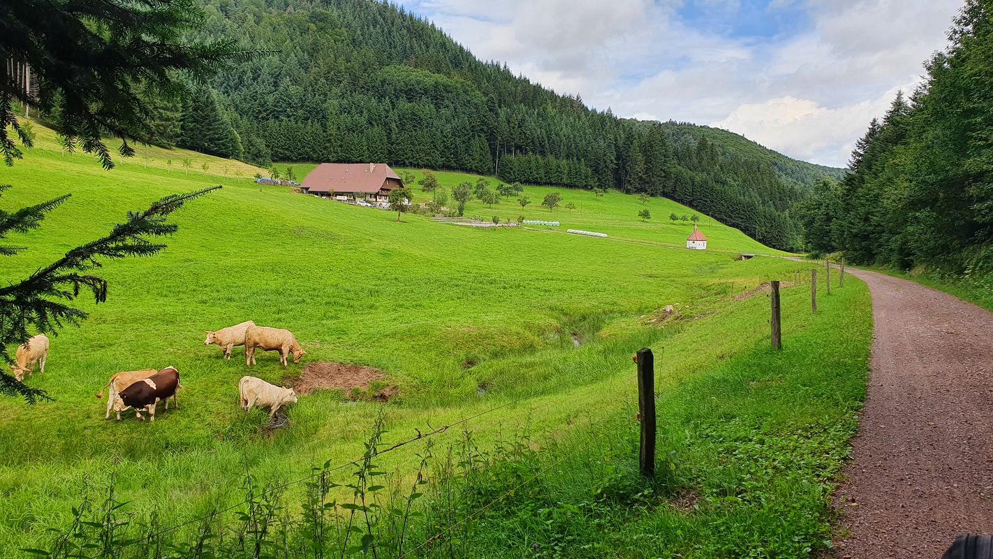 Schillingsweg 2, Lahr/Schwarzwald nach Schillingsweg 2, Lahr/Schwarzwald