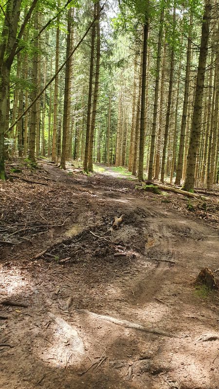 Schillingsweg 2, Lahr/Schwarzwald nach Schillingsweg 2, Lahr/Schwarzwald