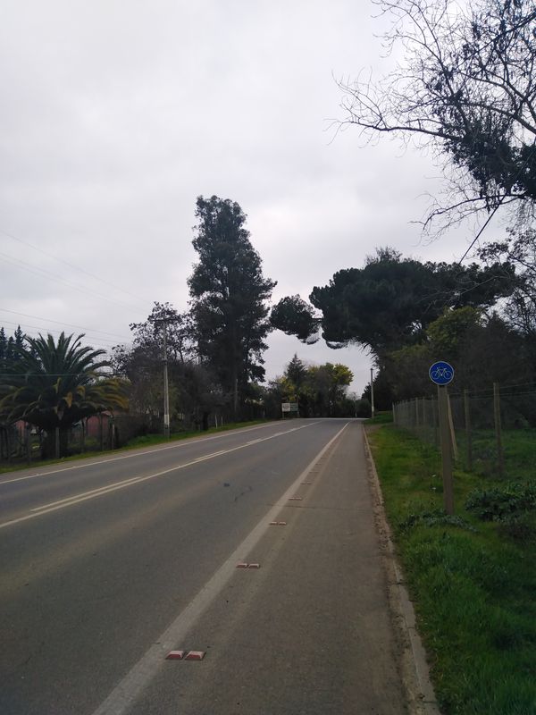 De Cinco Norte 3495, Talca a Calle 32 Oriente 1665, Talca