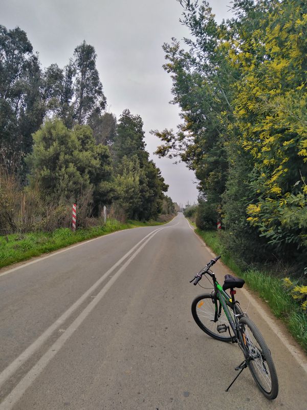 De Cinco Norte 3495, Talca a Calle 32 Oriente 1665, Talca