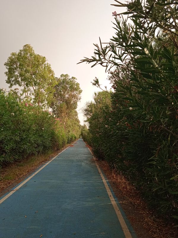 Caher Dudayev Bulvarı to Sasalı Piknik Alanı