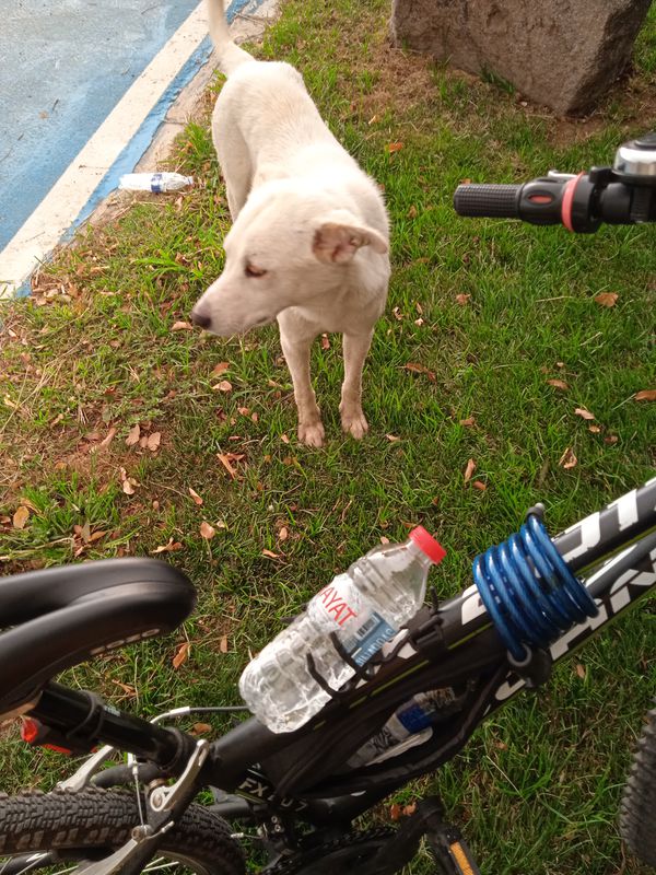 Caher Dudayev Bulvarı to Sasalı Piknik Alanı