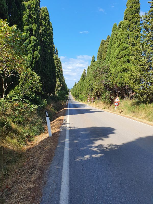 Unnamed Road, Montescudaio naar Unnamed Road, Montescudaio