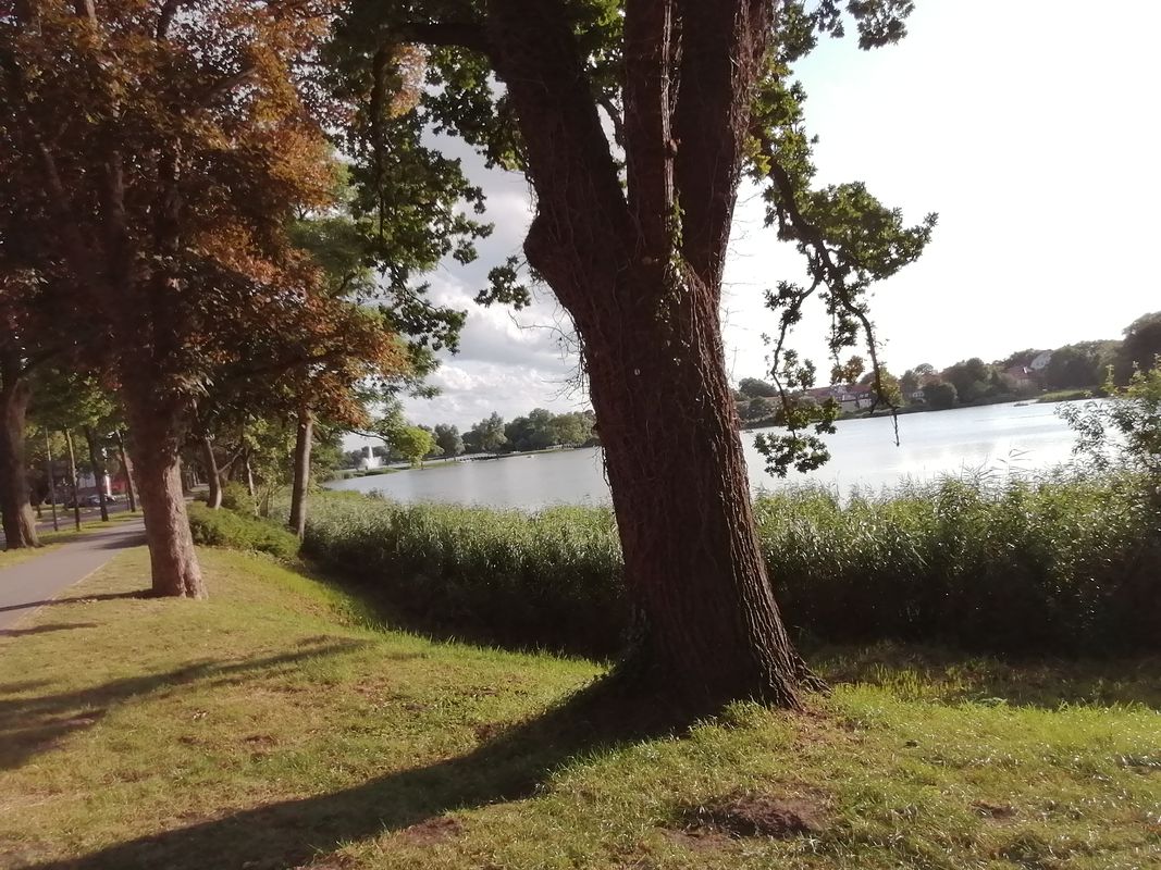 Apfeldornweg 26, Stralsund nach Heinrich-Heine-Ring 107, Stralsund