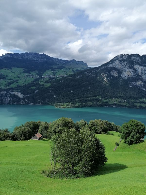 Churfirstentüürli