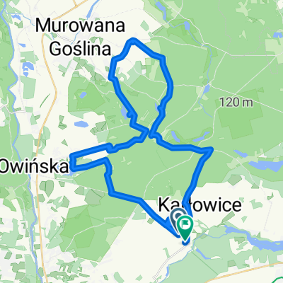 puszcza zielonka
