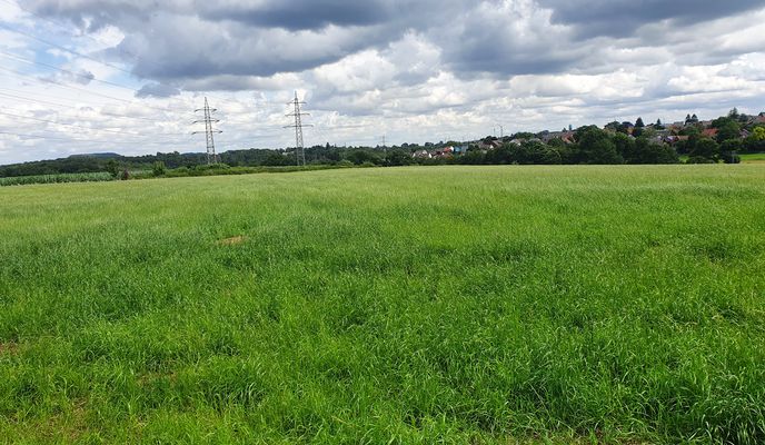 Foto 2 der Bikemap-Route "Kaiserstraße 74, Herzogenrath nach Händelstraße 8, Herzogenrath"