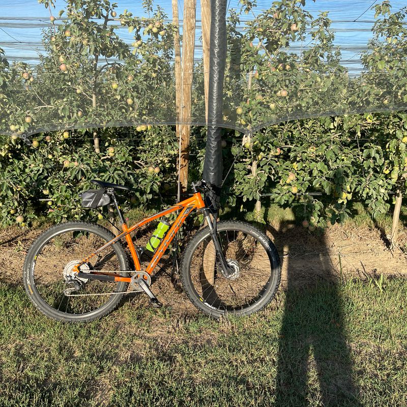 Salins 2 Linia, 15, Castelló d'Empúries to Salins 2 Linia, 16, Castelló d'Empúries