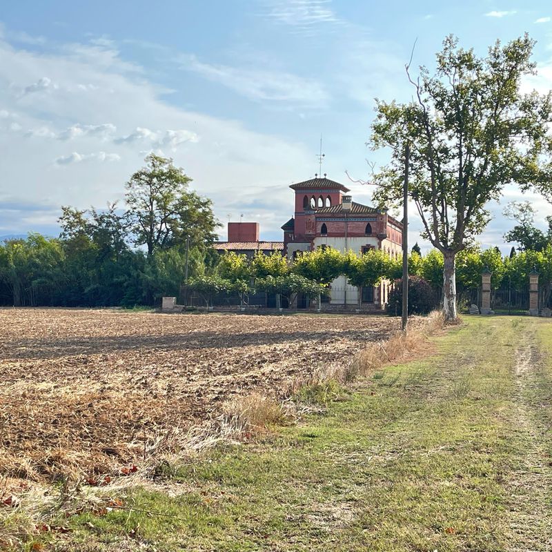 Salins 2 Linia, 15, Castelló d'Empúries to Salins 2 Linia, 16, Castelló d'Empúries