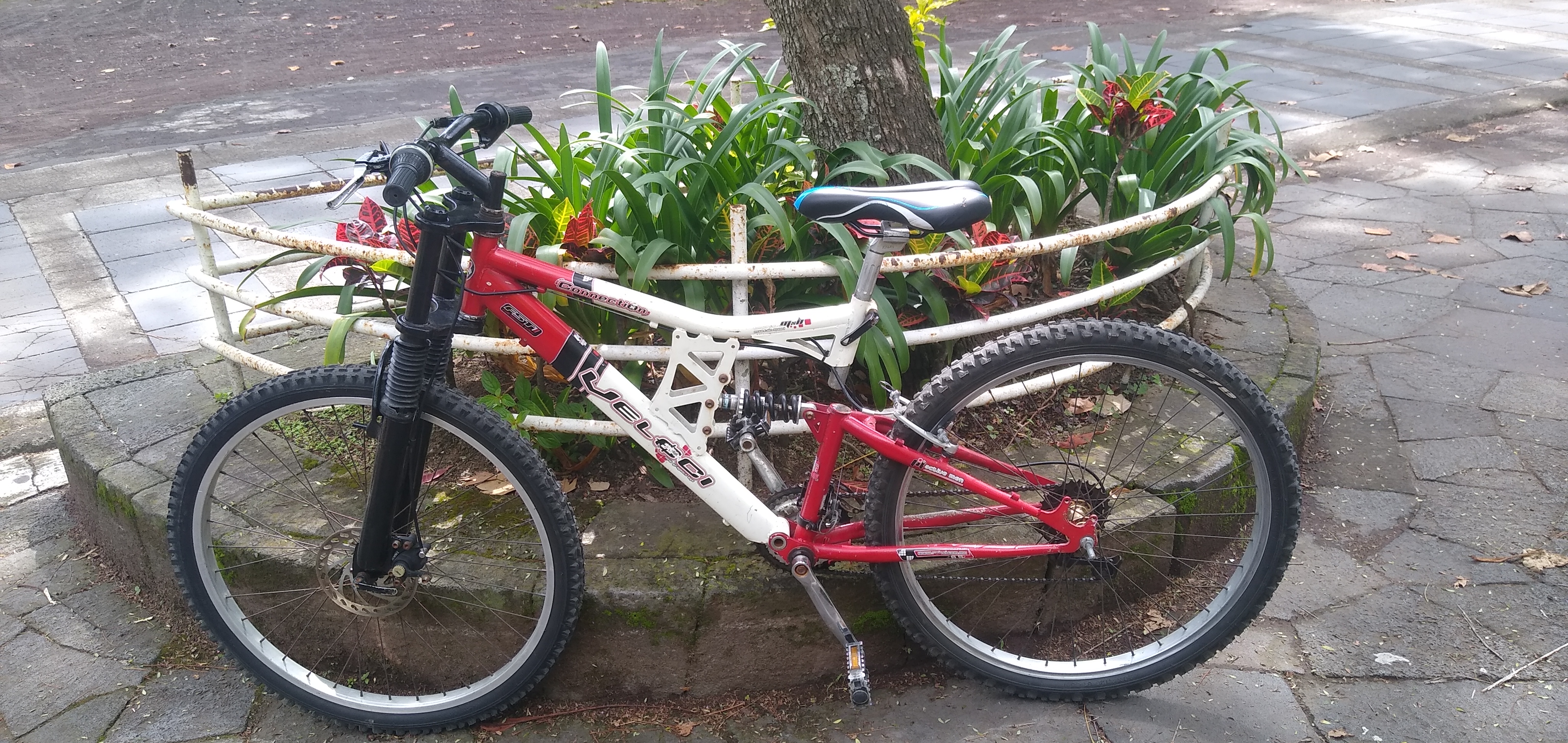 De Alamo 30, Xalapa-Enríquez a Ceiba 2, Xalapa-Enríquez