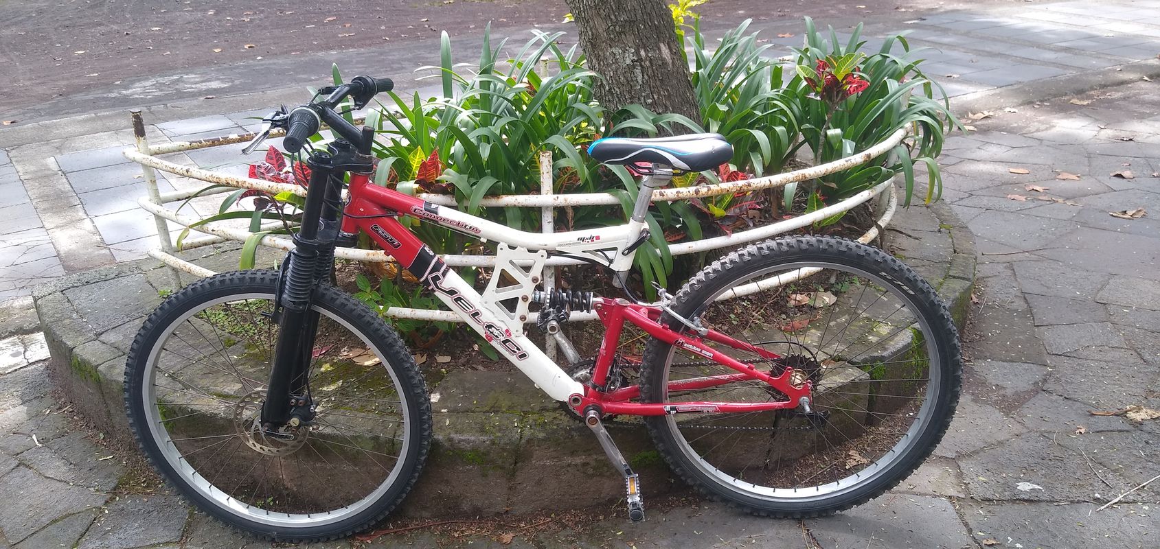 De Alamo 30, Xalapa-Enríquez a Ceiba 2, Xalapa-Enríquez