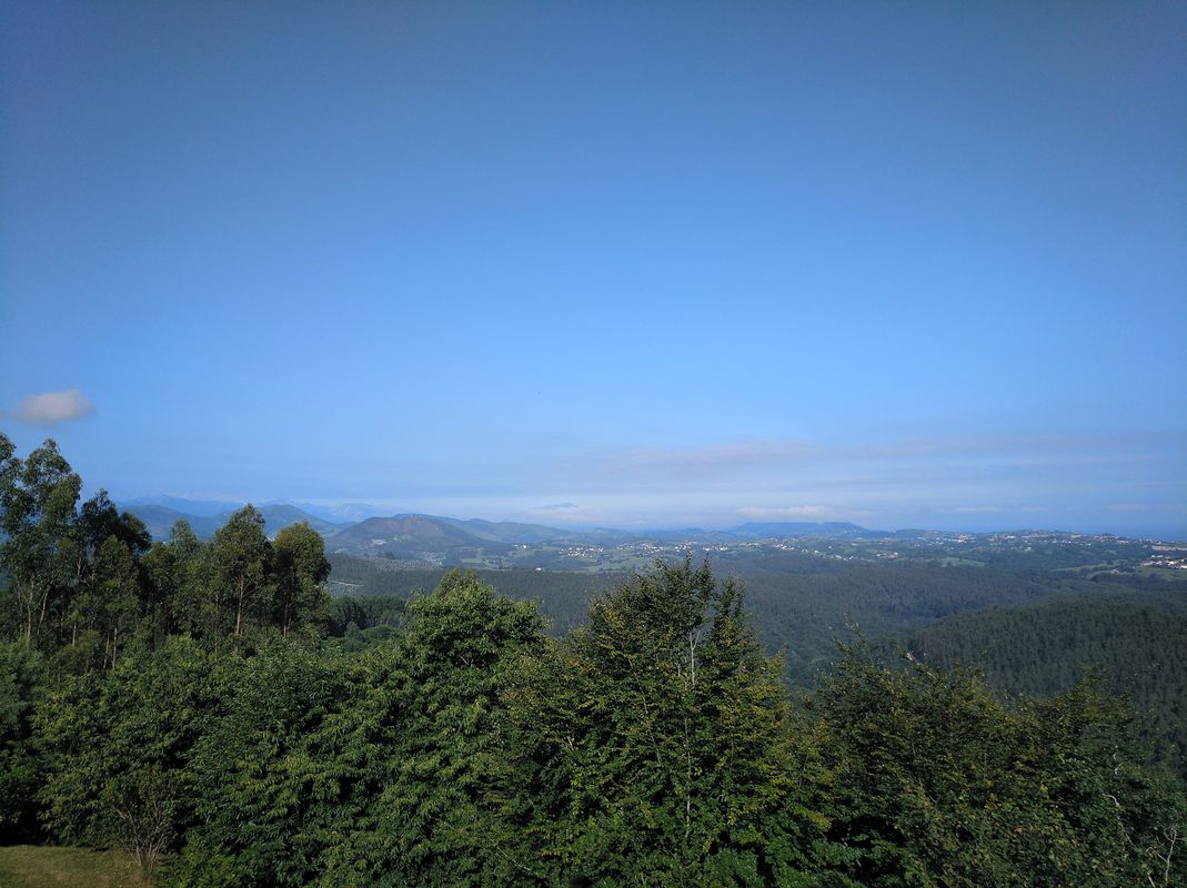 Inmunización 2.3 - Monte Corona, San Esteban.