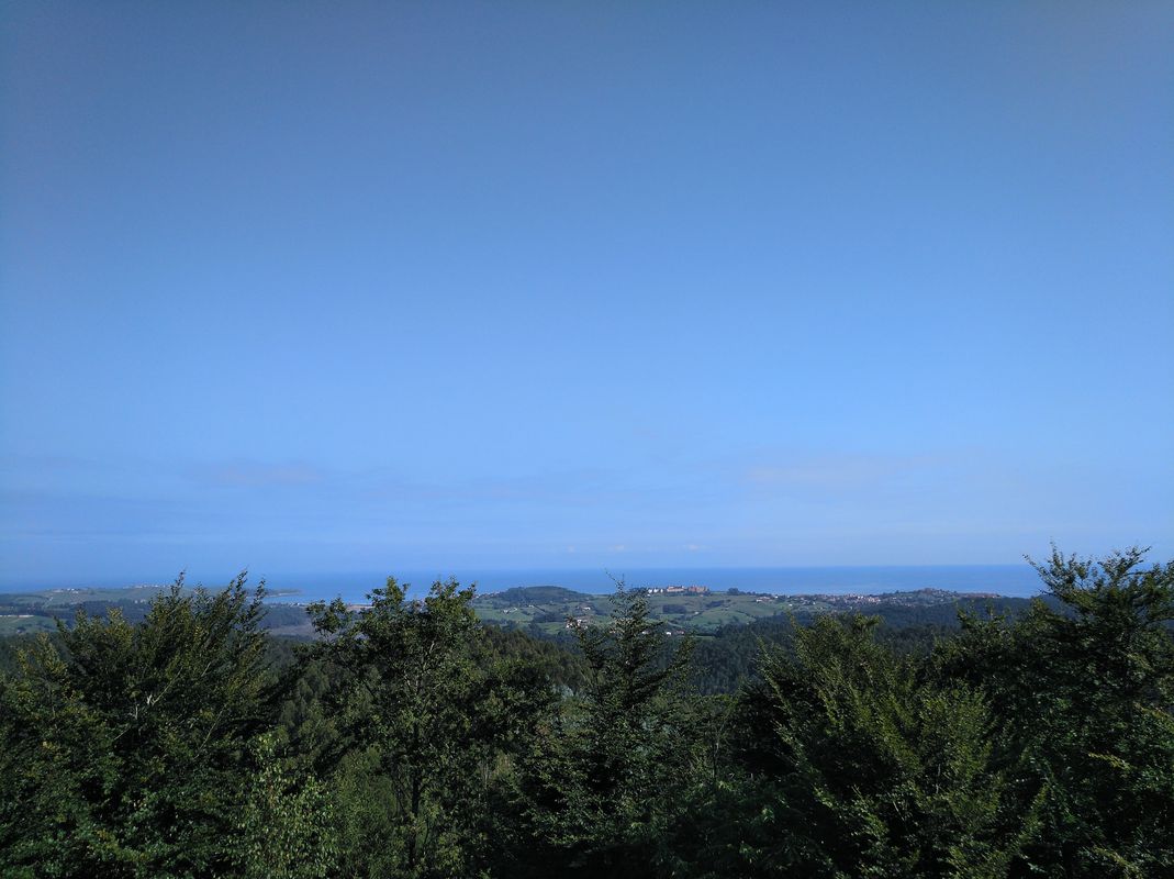 Inmunización 2.3 - Monte Corona, San Esteban.