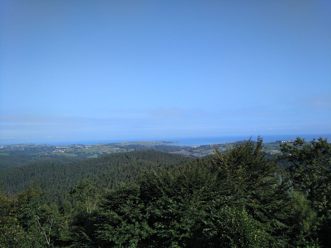 Inmunización 2.3 - Monte Corona, San Esteban.