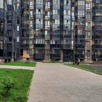 за кивой  у весны и по участкам дачной