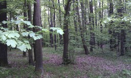 Point fort 4 sur l’itinéraire Bikemap « Uherské Hradiště-Kněždubský háj 30/4/2011 »