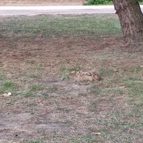 Seepark 24, Heringsdorf nach Seepark 23, Heringsdorf