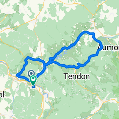 tendon