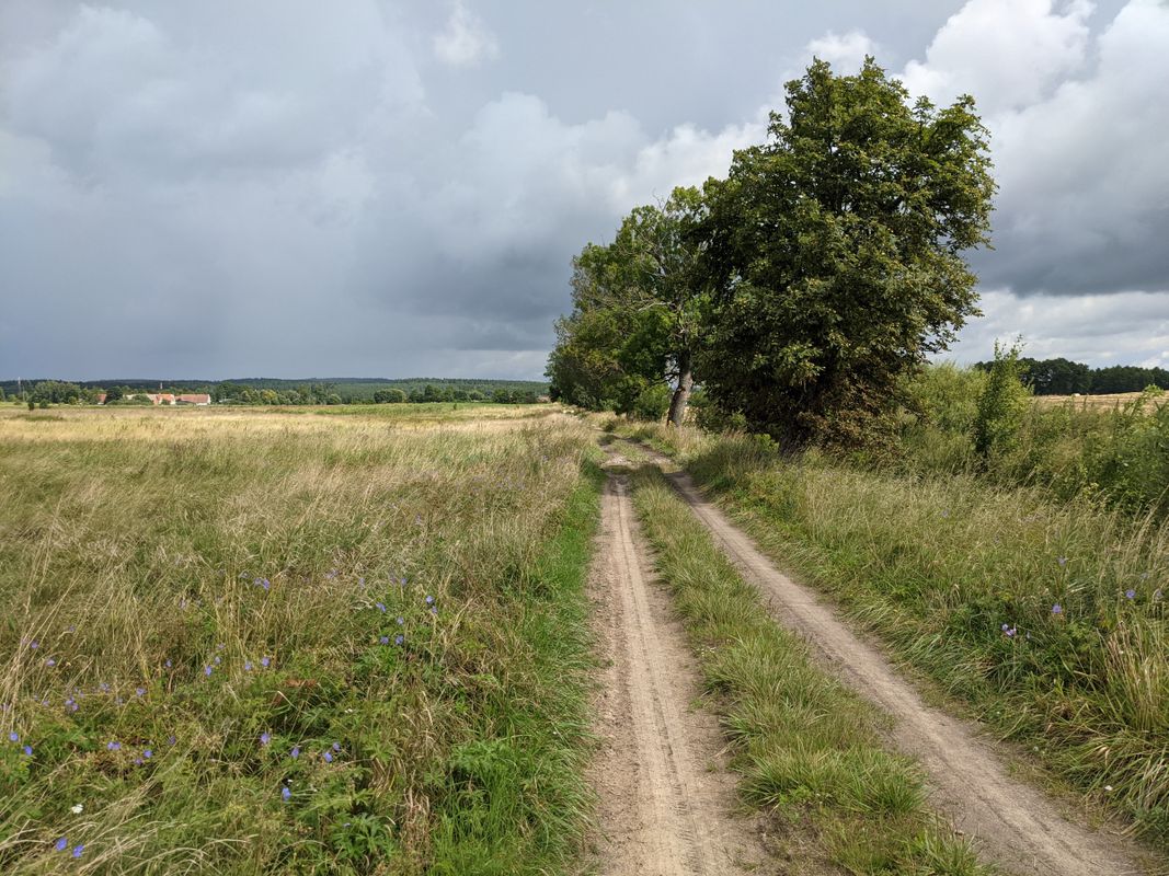 14 km