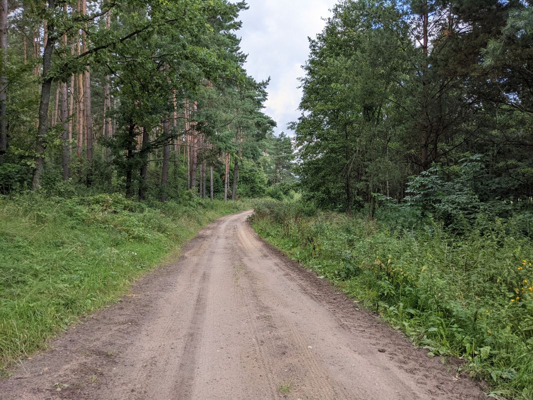 14 km