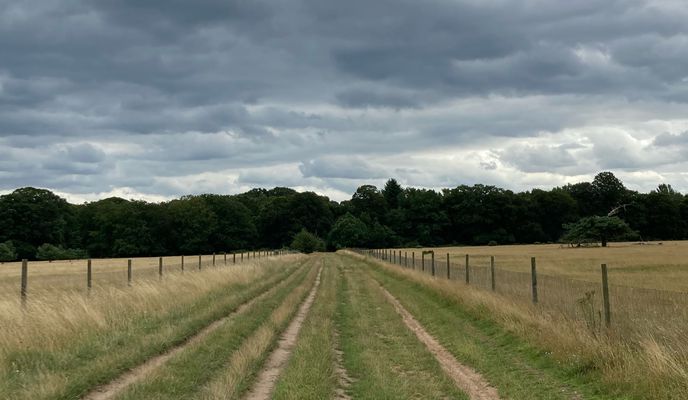 Photo 1 of the Bikemap route "The Barns, Reeves Lane, Thetford to Honey Bee Cottage, 60 Main St, Thetford"