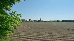 Highlight 15 along the Bikemap route "Ausflug in die ganz Hohe Mark"