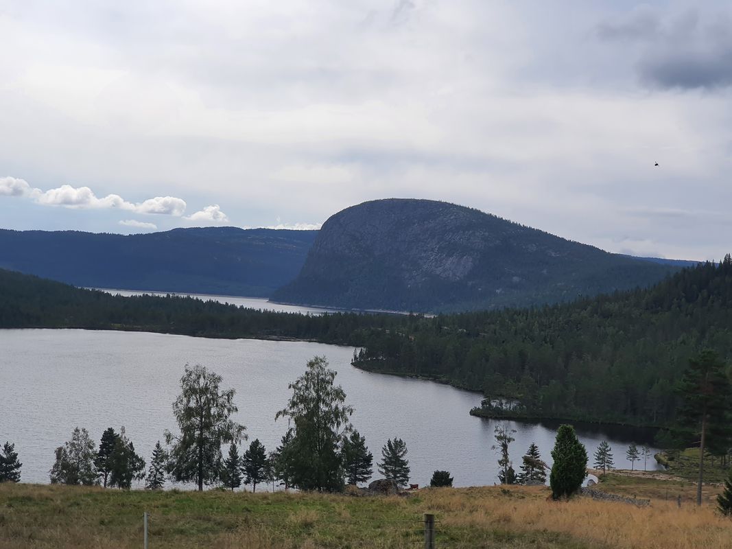 Fyresdalsvegen 2233 to Folkestadgata 3