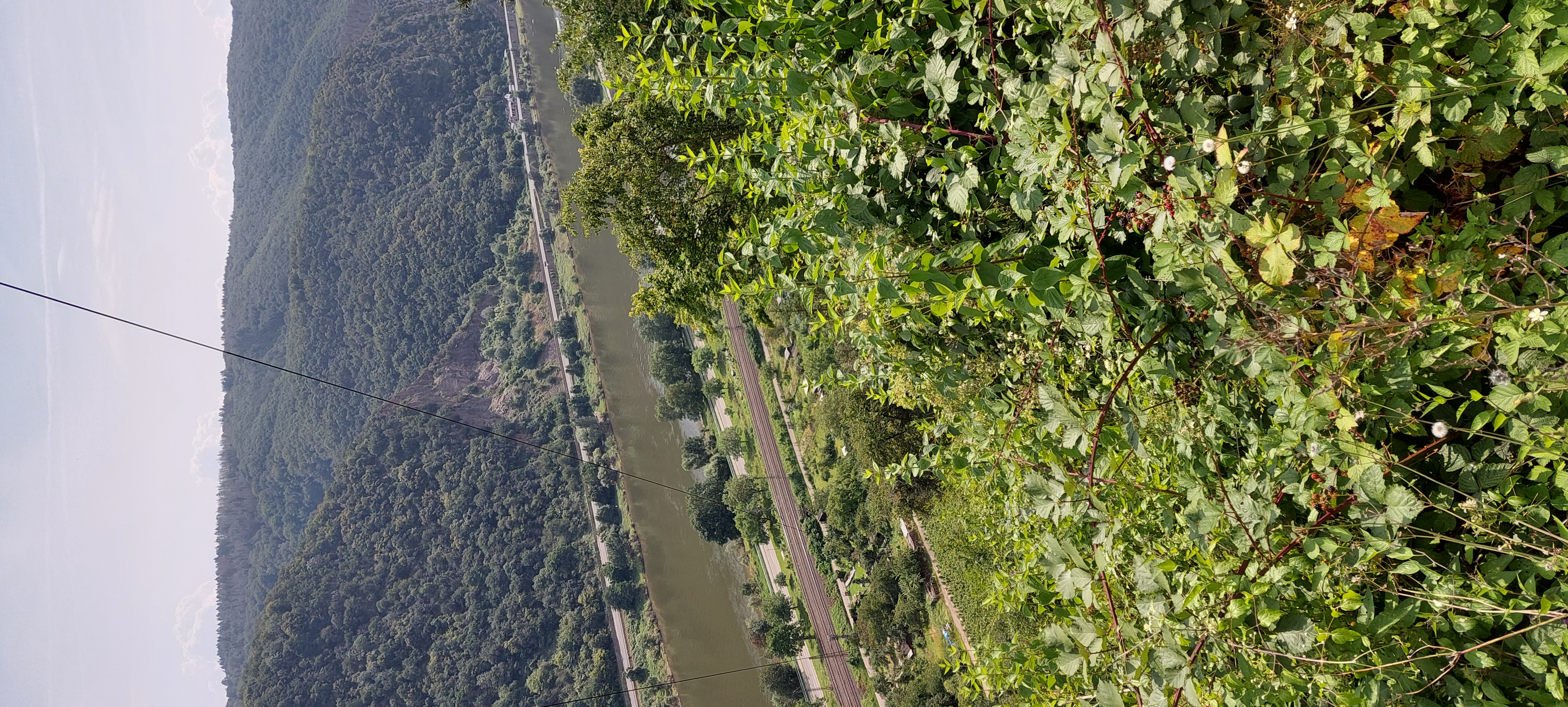 K38, Wierschem nach Markweg 1a, Cochem