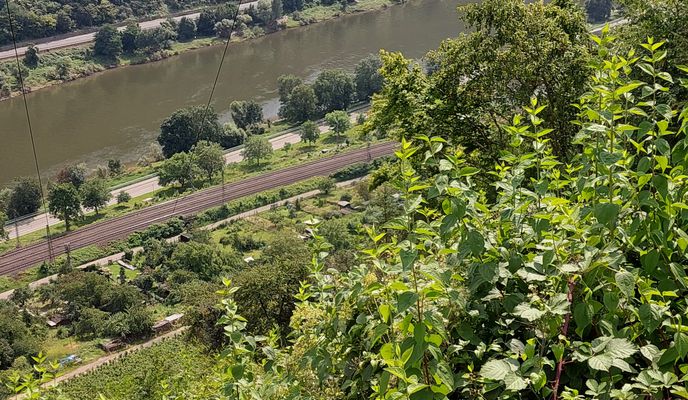 Foto 1 der Bikemap-Route "K38, Wierschem nach Markweg 1a, Cochem"