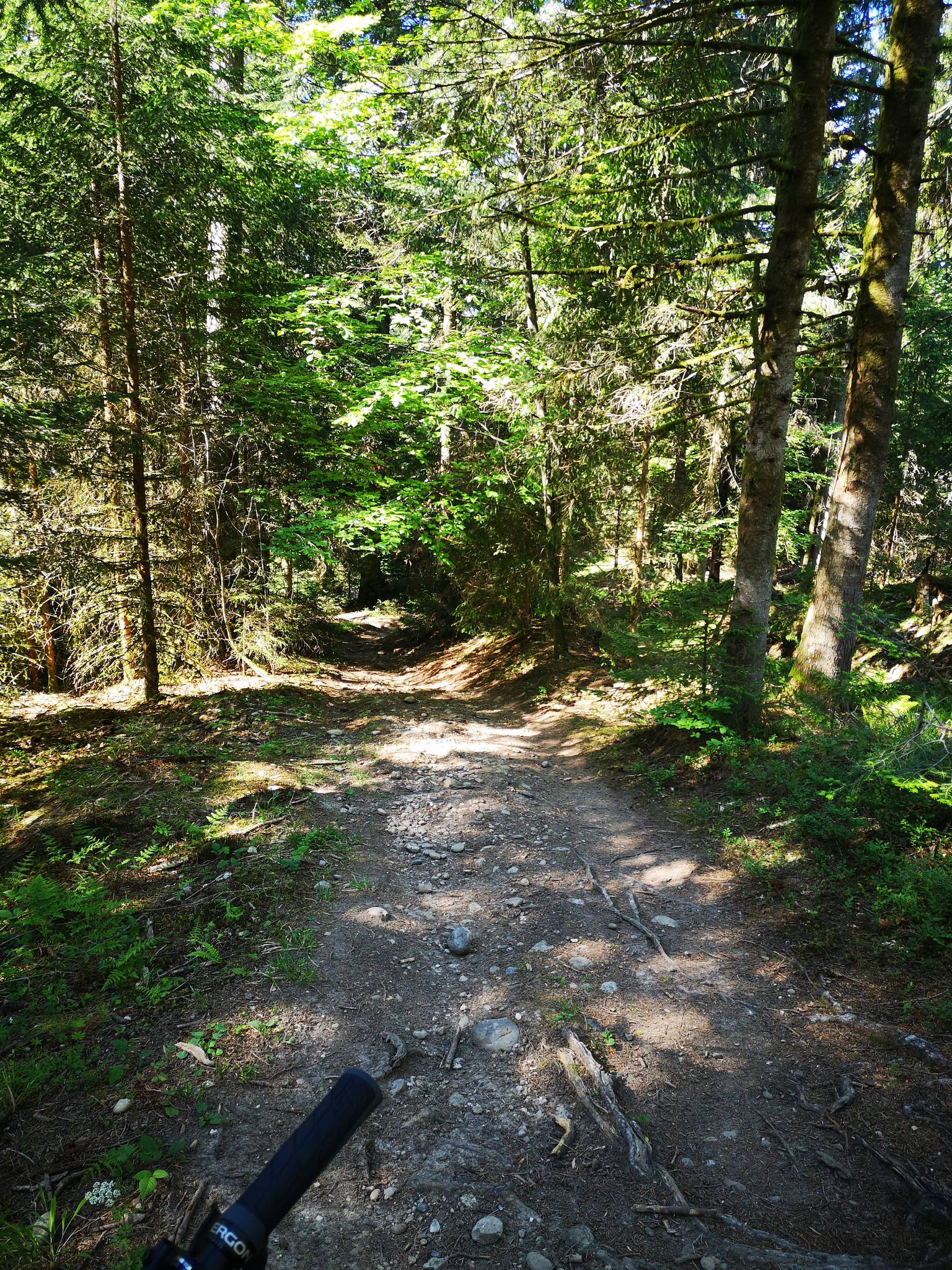Tannzäpfu-Bromi und Siehetrail