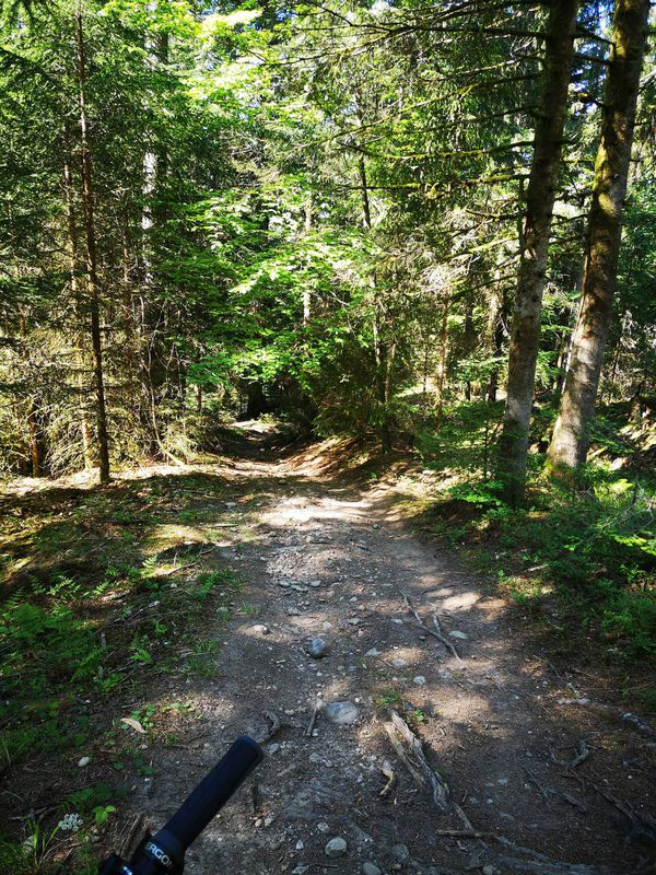 Tannzäpfu-Bromi und Siehetrail